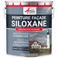 Peinture Facade Siloxane Hydrofuge - ARCAFACADE SILOXANE  Gris Taupe (Ral 7036) - 10L (+ ou - 60m² en 1 couche)