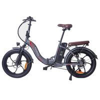 Vélo Électrique - FAFREES F20 Pro E-bike 250W Vitesse Max 25km/h 20 Pouces 7 Vitesses Batterie 18AH