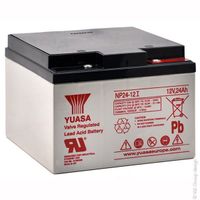 Batterie plomb AGM NP24-12i 12V 24Ah YUASA - Batterie(s)
