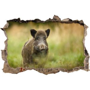 Autocollant Sticker Chasseur Chasse Sanglier Achat Vente Stickers Cdiscount Autocollant Sticker Chasseur Chasse Sanglier Achat Vente Stickers Cdiscount