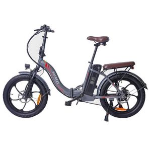 VÉLO ASSISTANCE ÉLEC Vélo Électrique - FAFREES F20 Pro E-bike 250W Vite