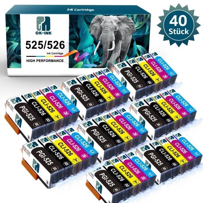 D&C 20 Cartouches D'encre Avec Puce Compatibles Avec Canon PGI-525 CLI-526 Pour Canon Pixma IP4850 IP4950 IX6550 MG5140 MG5150 MG5240 MG5250 MG5340 MG5350 MX715 MX885 MX895