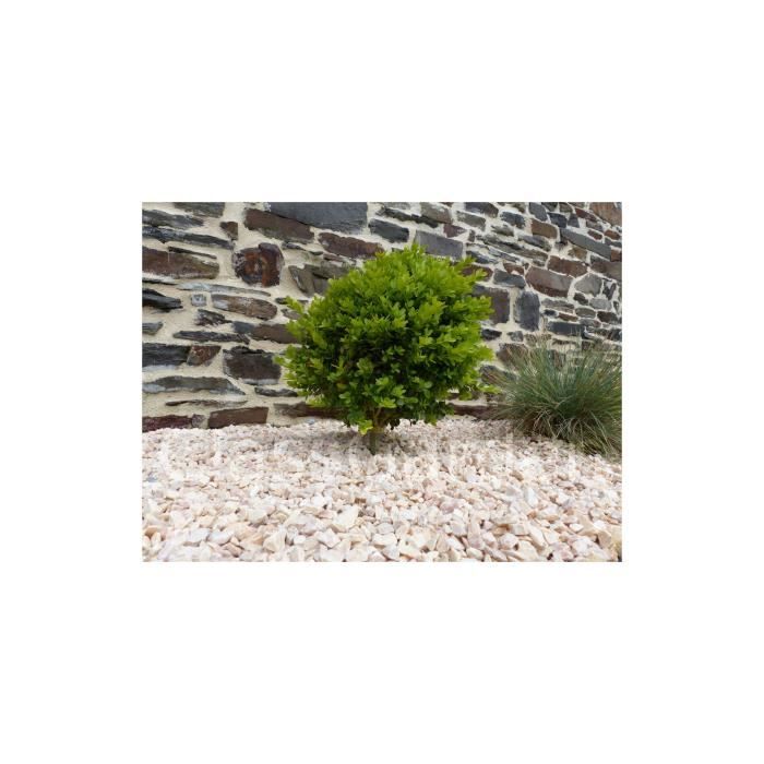Gravier Jaune Pack de 7 M² 10-15 mm