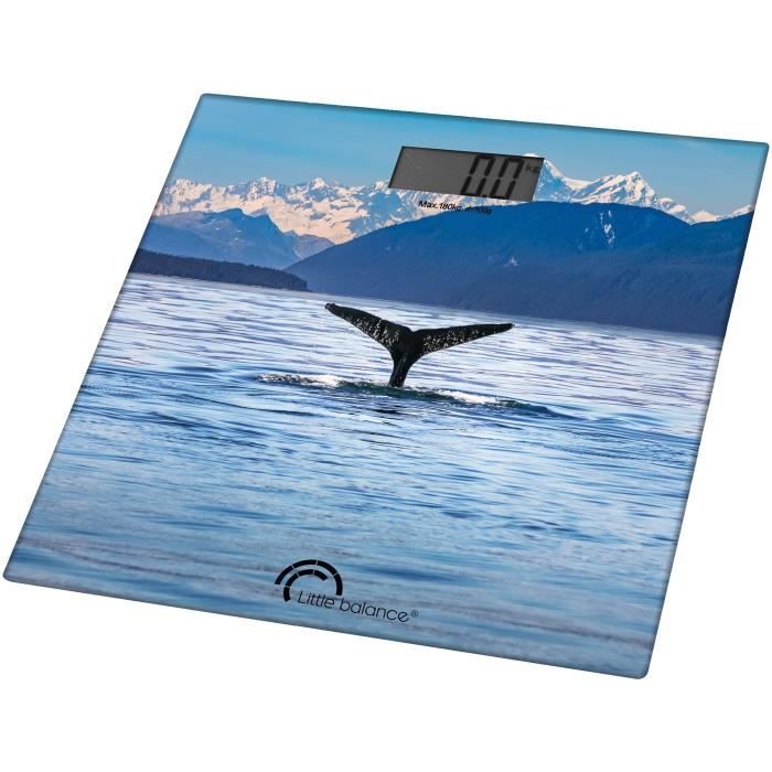Pèse personne Fjord 180kg 100g