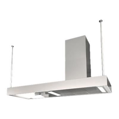 Hotte Décorative ROBLIN 6055119