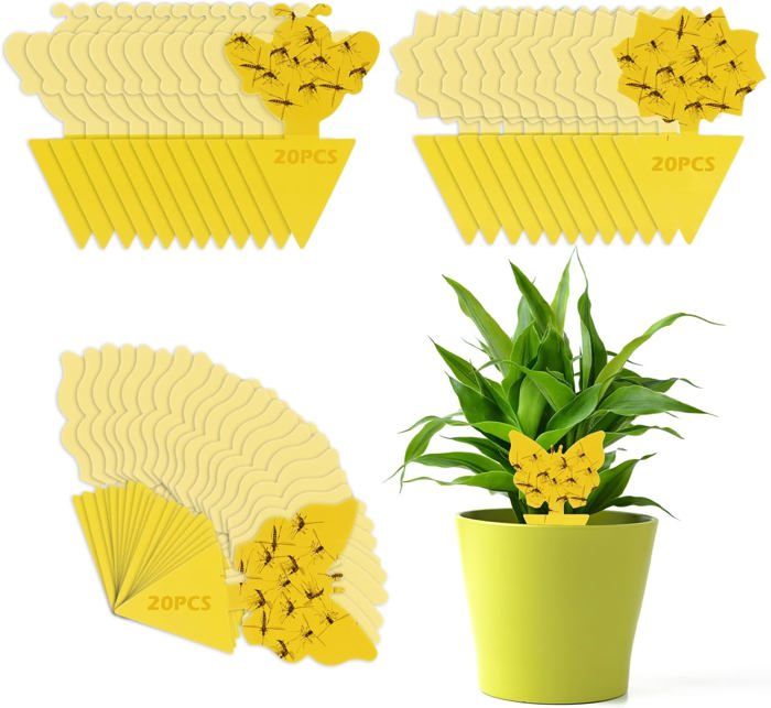 Yuandream 60 Pièces Pièges Collants Jaunes Anti-Moucherons – Protection Plantes Intérieur Extérieur
