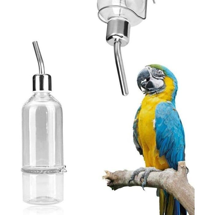 Distributeur deau suspendu pour perroquet sans animal de compagnie.