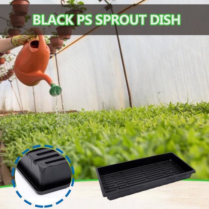 Plateau De Rempotage De Semis De Plantes De Jardin, Tapis De