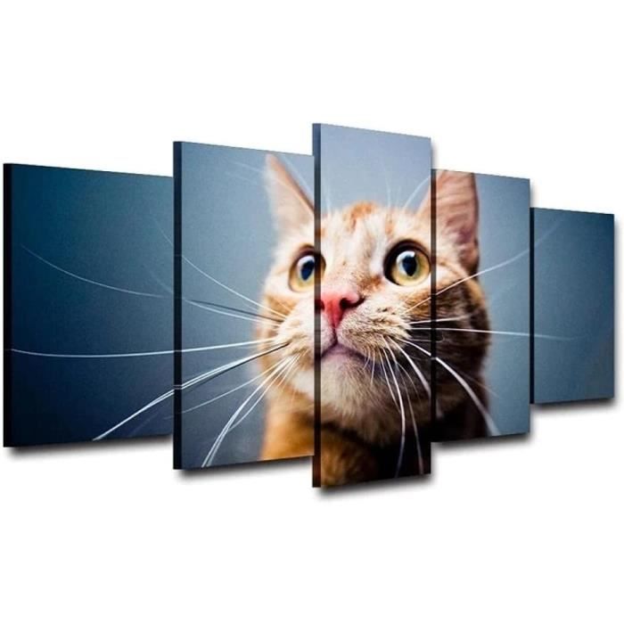 Tableau Graffiti 5 Parties Gros Chat Aux Yeux Art Deco Murale Salle De Bain Cadeau Anniversaire Avec Cadre 150x80cm 3874 Cdiscount Maison