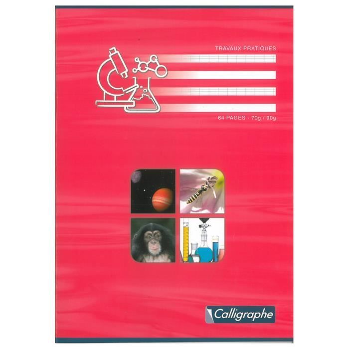 Lot De 10 Cahiers Travaux Pratiques Piqués 21x29,7 Cm 48 Pages Seyès + Uni 70+90g - Couleurs Aléatoires