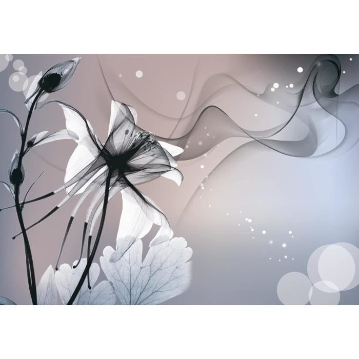 Papier Peint Panoramique Intissé 3D - Fleurs Modernes Noir Et Blanc - 300x210cm - Wesmilewallpaper