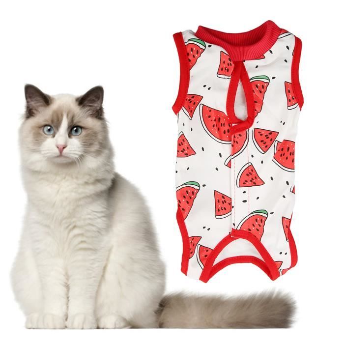 Meilleurs prix pour RUR Costume Set - robe de stérilisation anti - léchage pour chat - pastèque - M LC044
