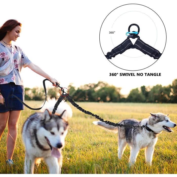 Yangbaga Double Laisse Pour Grand Chien - Accouple Elastique Et Anti-enchevêtrement Avec Fil