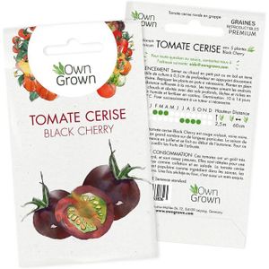 GRAINE - SEMENCE Kit de Graines de tomates Black Cherry: Semences d