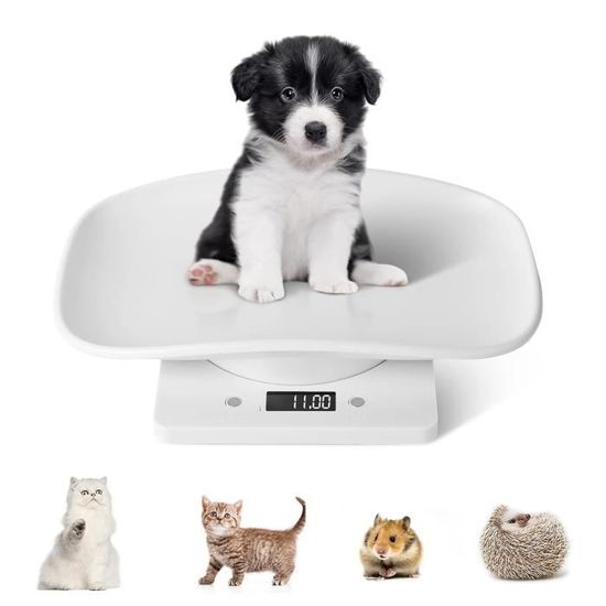 Balance Numérique Précise Pour Animaux - Pèse Chaton, Lapin, Chiot Jusqu'à 10kg - Idéale Balance Pour Chiens & Chats