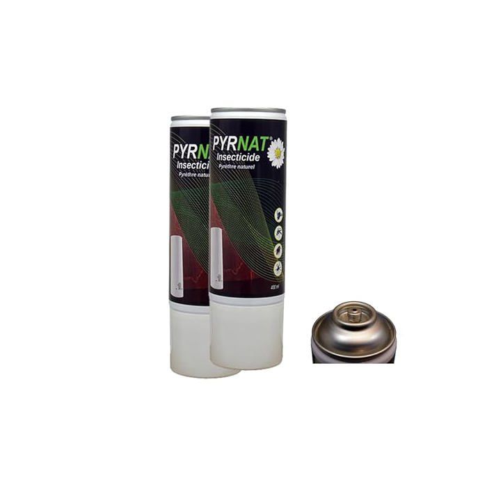 Insecticide à Base de Pyrèthre en Aérosol 2x400ml Anti-mouches Moustiques Punaise de Lit Efficace contre volants et rampants. (2)