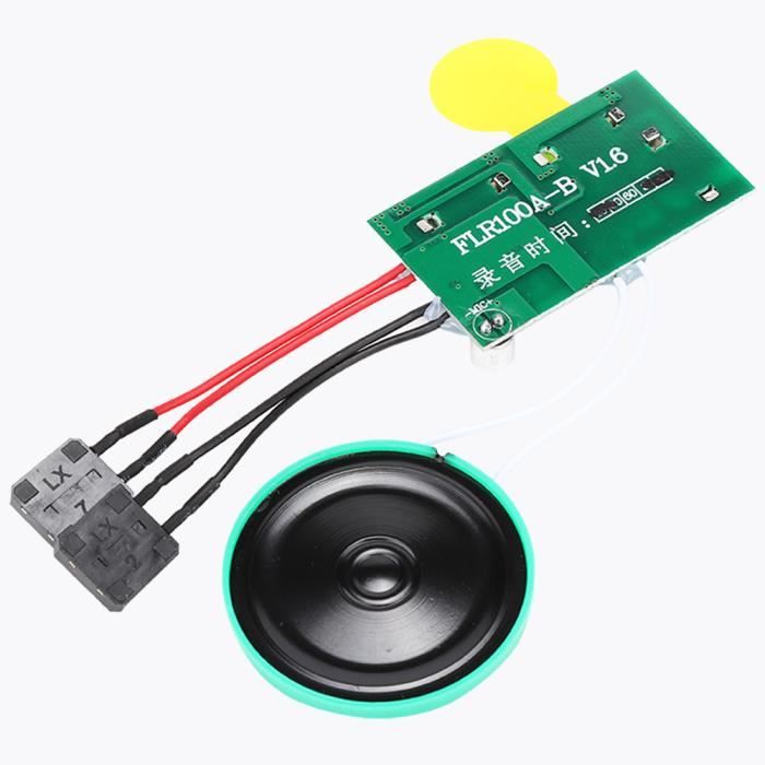 Akozon Module d'Accueil Vocal Module Vocal Enregistrable Puce Carte ...