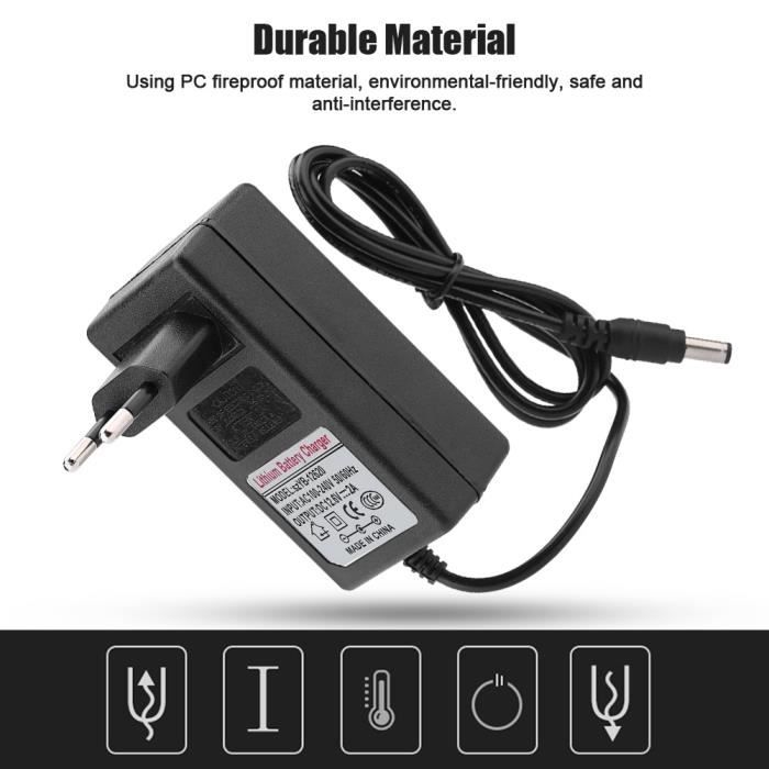 Chargeur Universel 17 En 1 - Alimentation 6V - Compatible Balance Steinberg SBS-PT-40/1 - Protections Intégrées