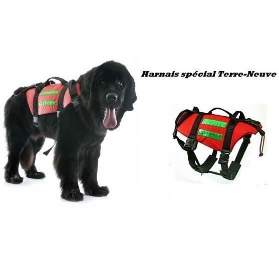 Gilet Gonflable Chien Harnais Special Sauvetage Chien Terre Neuve Achat Vente Gilet
