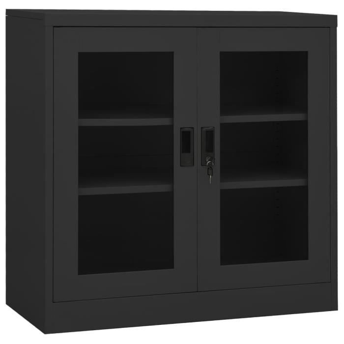 armoire de bureau - fdit - anthracite - acier et verre trempé - 2 portes et 2 étagères réglables
