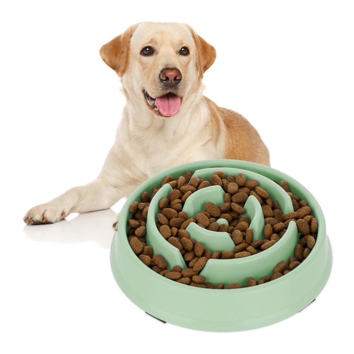 Comparer les prix de Relaxdays Gamelle anti-glouton repas pour chiens 400 ml digestion lente compatible avec lave-vaisselle vert