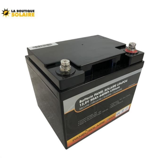 Égaliseur De Batterie Pour 2 Batteries 12V Balancer 2S Tension Active Plomb-Acide  Chargeur De Batterie Régulateurs[H1847] - Cdiscount Auto
