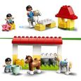 LEGO 10951 Duplo Town L’Ecurie et Les Poneys, Cheval Jouet pour Enfant 2 Ans et Plus, Jeu de Construction pour Filles et garçons-3