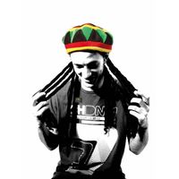 Chapeau jamaïcain avec perruque adulte - PARTY PRO - Accessoire de déguisement - Noir - Rouge - Jaune - Vert