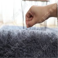 TD® Cheveux longs soie laine tapis chambre magasin complet table basse salon chevet couverture tapis de sol porte étape tapis