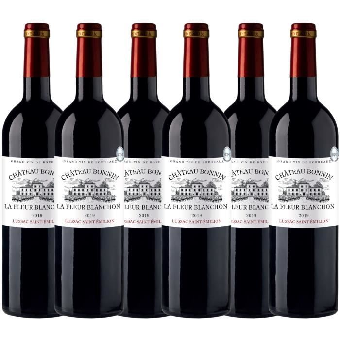 Château Bonnin La Fleur Blanchon 2019 - AOC Lussac Saint Emilion - Vin rouge de Bordeaux - lot de 6 bouteilles 75 cl
