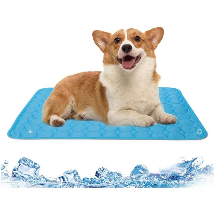 Tapis rafraîchissant pour chats et chiens : 70 x 55 cm - Résistant - Lavable