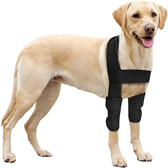 Coudières pour chien - TCHOUPIN - M code semelles compactes respirantes et confortables qui empêchent les chaussures de glisser
