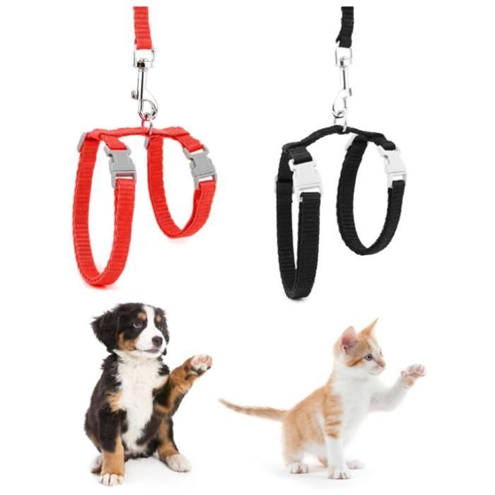 Harnais pour Chat - 2 Pcs - Réglable - Confortable - Sécurisé