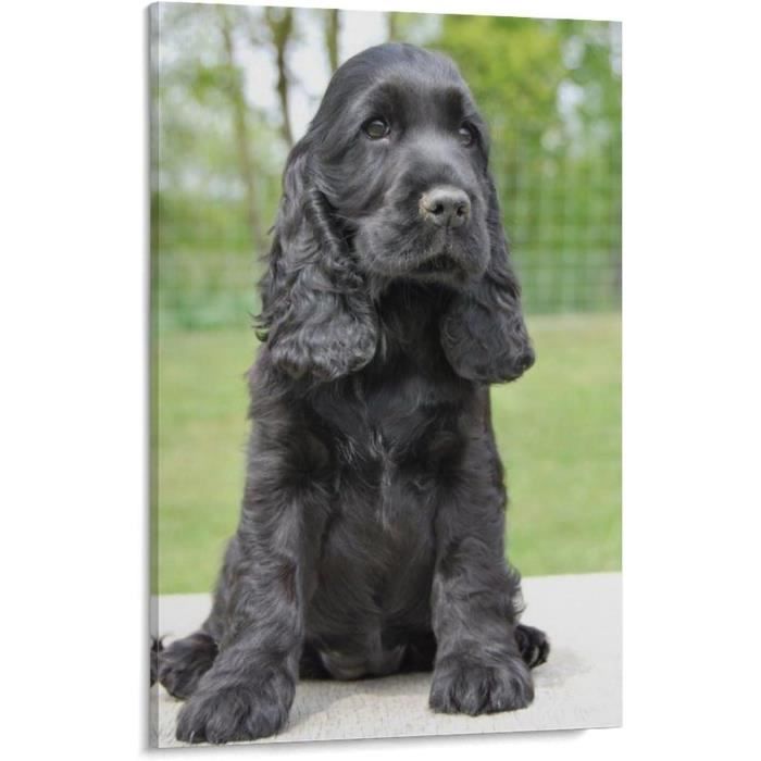 Diy 5D Diamond Painting Kit Forage Complet Cocker Spaniel Chien Noir Diamant Peinture De Croix