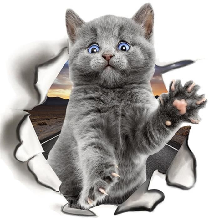 Autocollant 3d Belle Affiche Murale De Chat Mignon Animal Drole Autocollant Mural Cdiscount Maison Autocollant 3d Belle Affiche Murale De Chat Mignon Animal Drole Autocollant Mural Cdiscount Maison