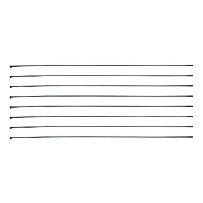 DT Swiss Rayons - Competition 2,0/1,8/2,0 - argenté - 1 Pièce