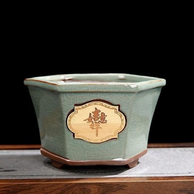 Pot De Fleurs Rétro Vintage Pour Plantes D'Intérieur Pino L (16,5 Cm