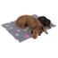Tapis Vetbed Isobed Zooplus Cœurs Pattes Pour Chien L 100 X L 75 Cm Achat Vente Corbeille Coussin Tapis Vetbed Isobed Zooplus Cdiscount Tapis Vetbed Isobed Zooplus Cœurs Pattes Pour Chien L 100 X L 75 Cm Achat Vente Corbeille Coussin Tapis Vetbed Isobed Zooplus Cdiscount