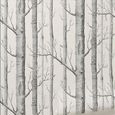 Papier peint bouleau papier peint décoratif moderne forêt bois papier peint chambre salon belle-1