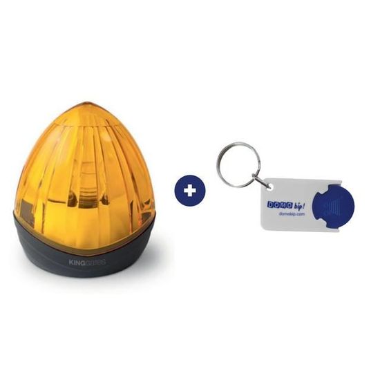 Feu Clignotant King Gates Idea 24 Plus WE - 24V 10W Avec Antenne Incorporée - Blanc Transparent Avec Lampe Jaune - Made In Italy