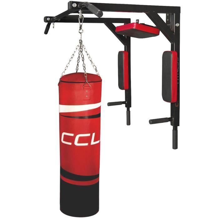 YIS Barre de traction Multifonctionnel, Chaise Romaine Murale, Mur de gymnastique, pour Domicile Gym - en Acier Max 200KG