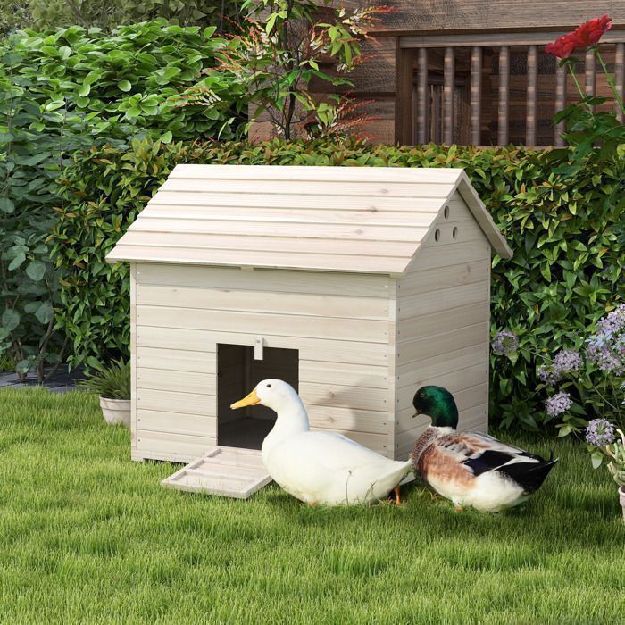 Meilleurs prix pour Plaque épaissiePawut Duck house avec toit pliant incliné poulailler avec plancher surélevé et rampe de porte dentrée sapin Duck H