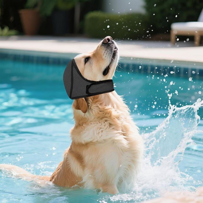 Bonnet de bain pour chien protection des oreilles modèle réglable imperméable piscine et plage