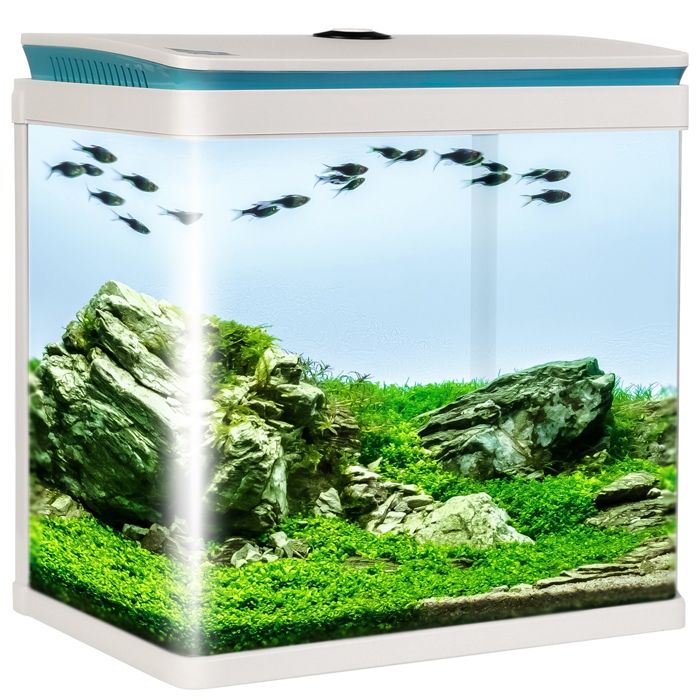 Kit aquarium 29L avec LED filtre et pompe pour poissons blancs crevettes et plantes