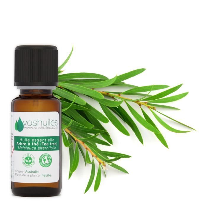 Huile essentielle Tea Tree Arbre à thé 100 ml - MFDIFFUSION