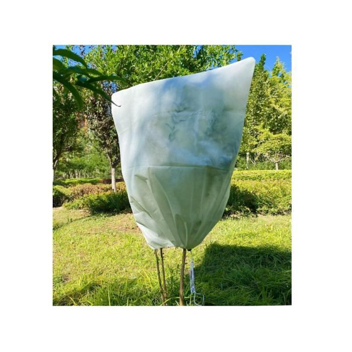 Lot De 2 Housses D'hivernage Pour Plantes - 180x120 Cm - Tissu Non Tissé 80 G/m² - Avec Fermeture éclair Et Cordon | Protection Contre Gel, Vent, Neige - Réutilisable