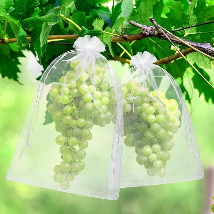 100 Sachets De Protection Pour Raisins 20x30 Cm - Tissu Non Tissé Respirant - Protection Contre Oiseaux Et Insectes