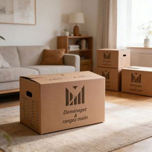 Carton Puff - Cdiscount