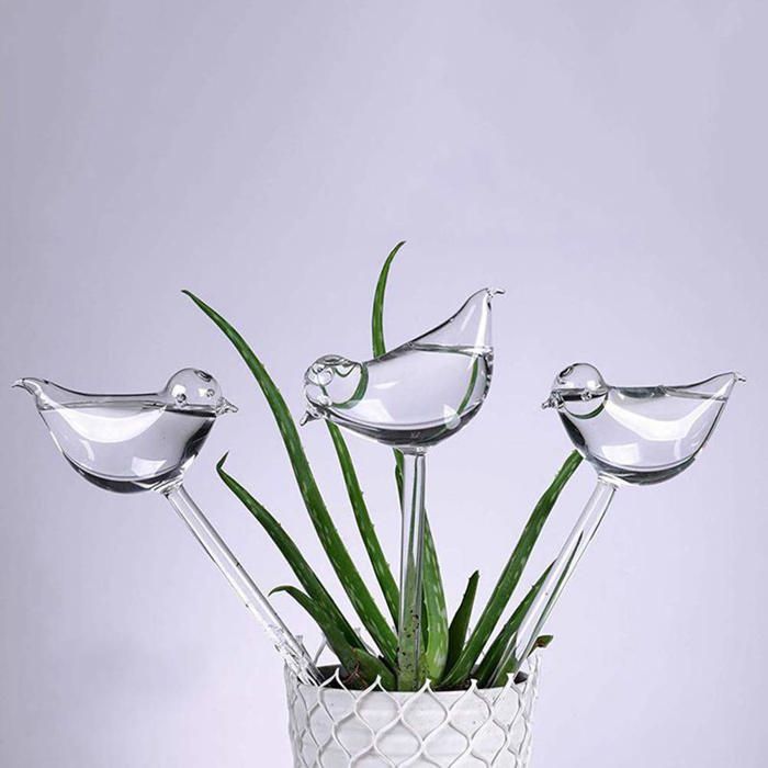4 Pièces 500 Ml Abreuvoir Pour Plantes Globes D' Arrosage Pour Plantes 4 Pièces 500 Ml Abreuvoir Pour Plantes Globes D' Arrosage Pour Plantes