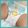 Pampers Baby-Dry Taille 3, 104 Couches-8